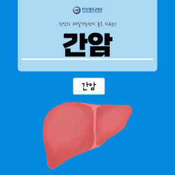 간암의 재발 가능성이 높은 이유는?